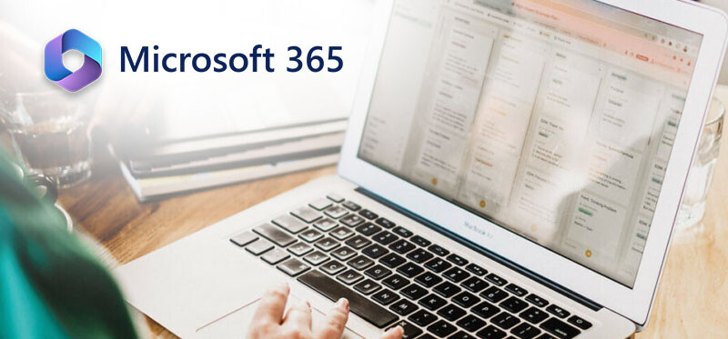 Gestió en Microsoft 365 Gestió bàsica en Microsoft 365
