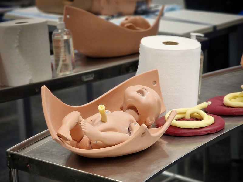 Habilitats en tocurgia