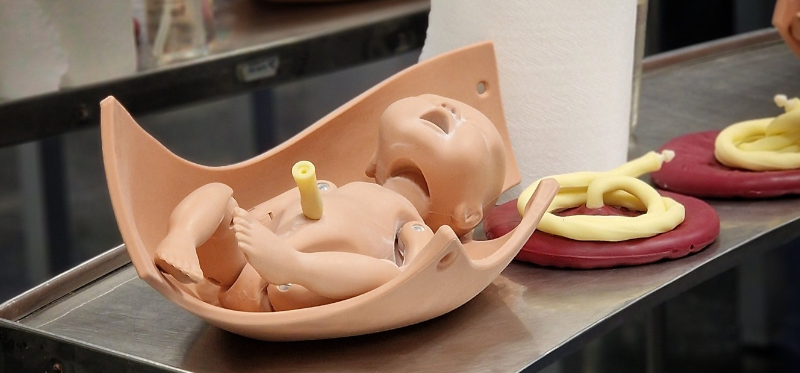 Habilitats en tocurgia Habilitats en tocurgia