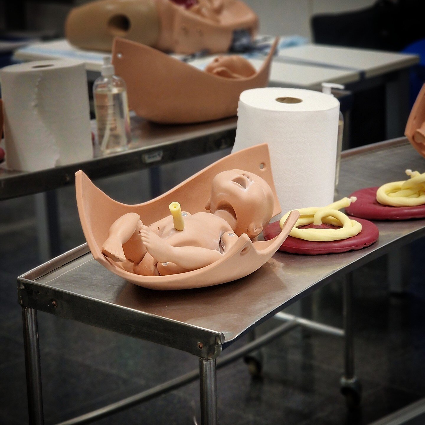 Habilitats en tocurgia